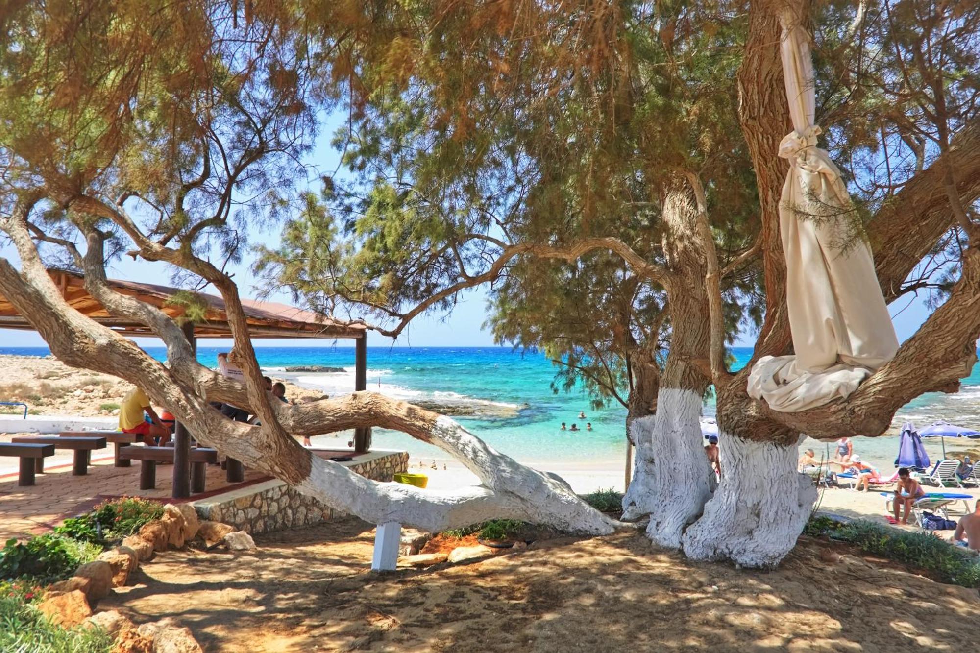 Sea Pearl Beachfront Villas - Breeze Ajia Napa Zewnętrze zdjęcie